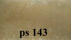 PS143