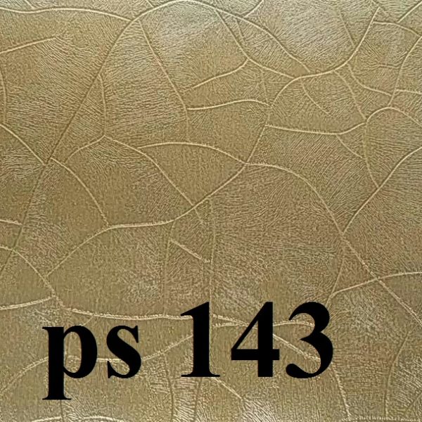 PS143