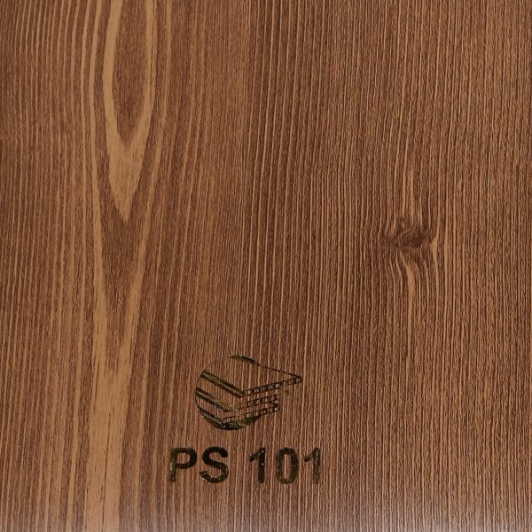 PS101