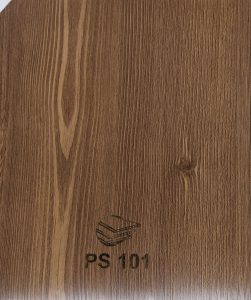 PS101