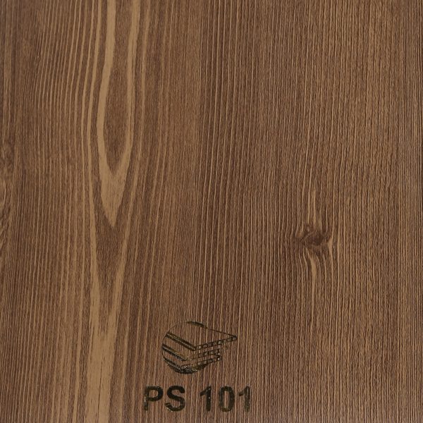 PS101