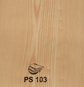 PS103