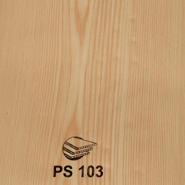 PS103