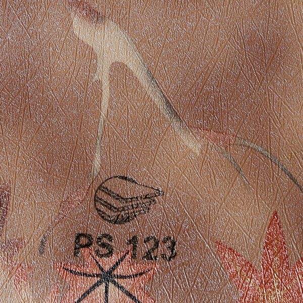 PS123
