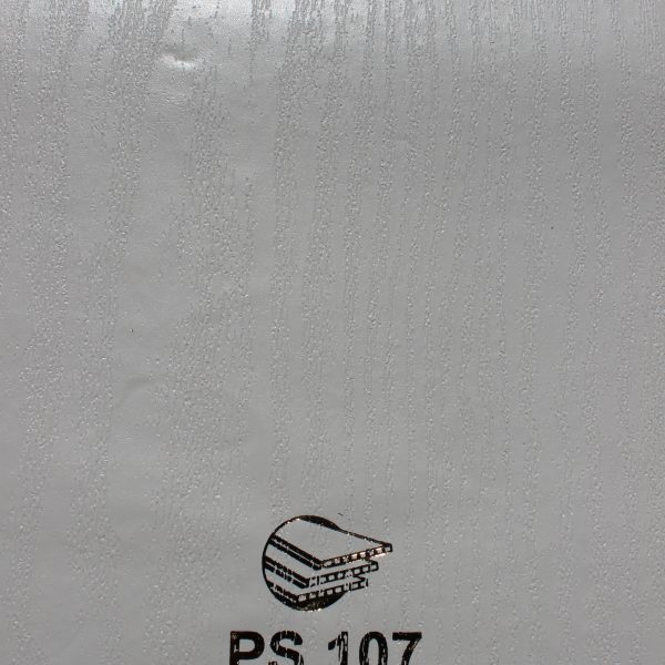 PS107