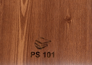 PS101
