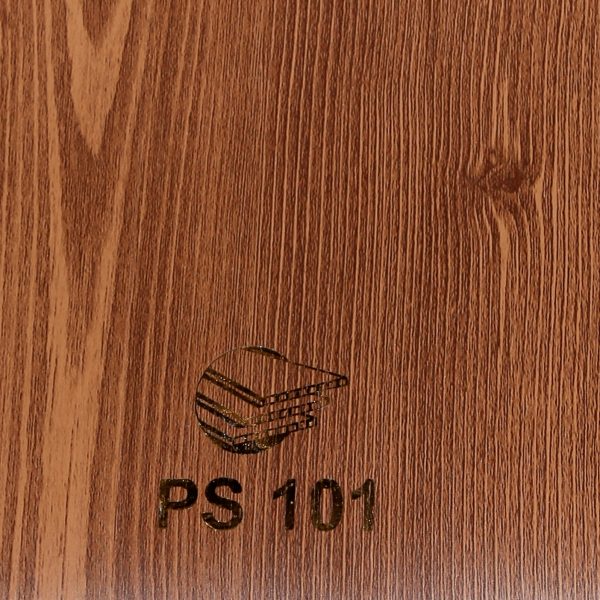 PS101