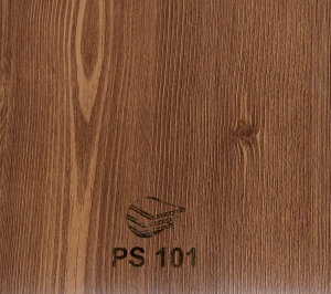 PS101