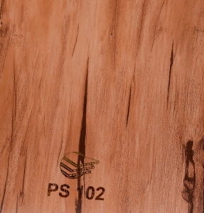 PS102