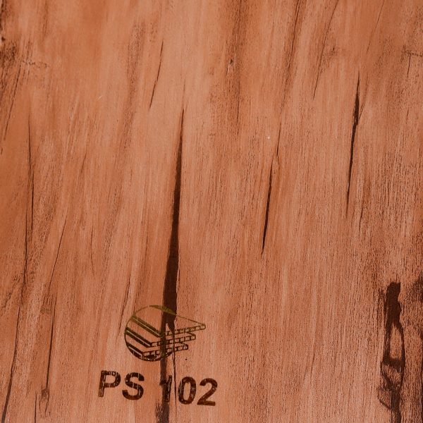 PS102